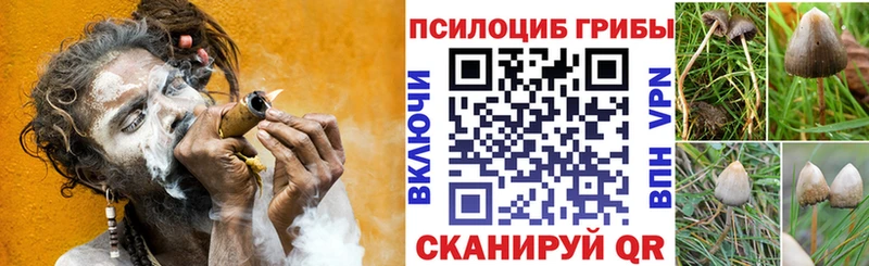 МЕГА онион  Касли  Псилоцибиновые грибы Psilocybe 
